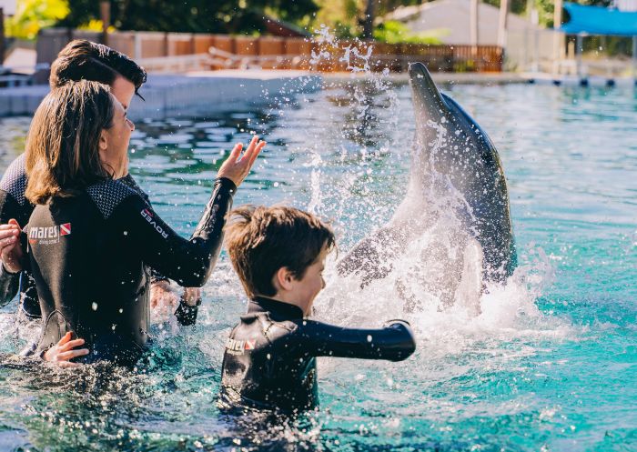 Family enjoying dolphin experience at Coffs Coast Wildlife Sanctuary, Coffs Harbour