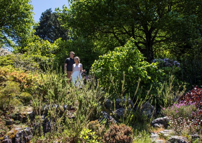 Couple enjoying a visit to the scenic Everglades Historic House and Gardens, Leura