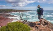 Man enjoying the scenic coastal views from Pulpit Rock at Beowa National Park, Green Cape, Sapphire Coast