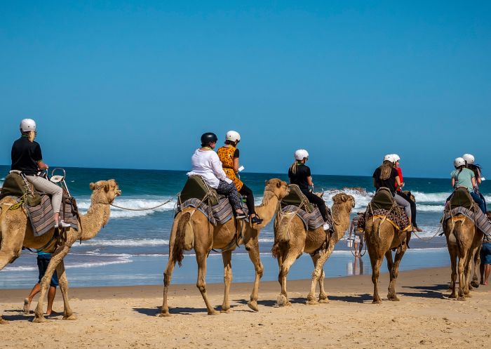 Visitors enjoying a camel experience with Port Macquarie Camel Safaris on Lighthouse Beach, Port Macquarie